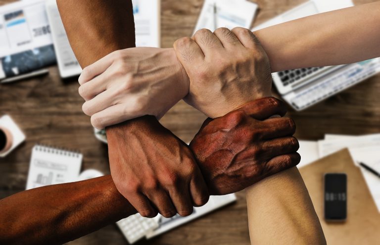 diversity 2 768x494 2