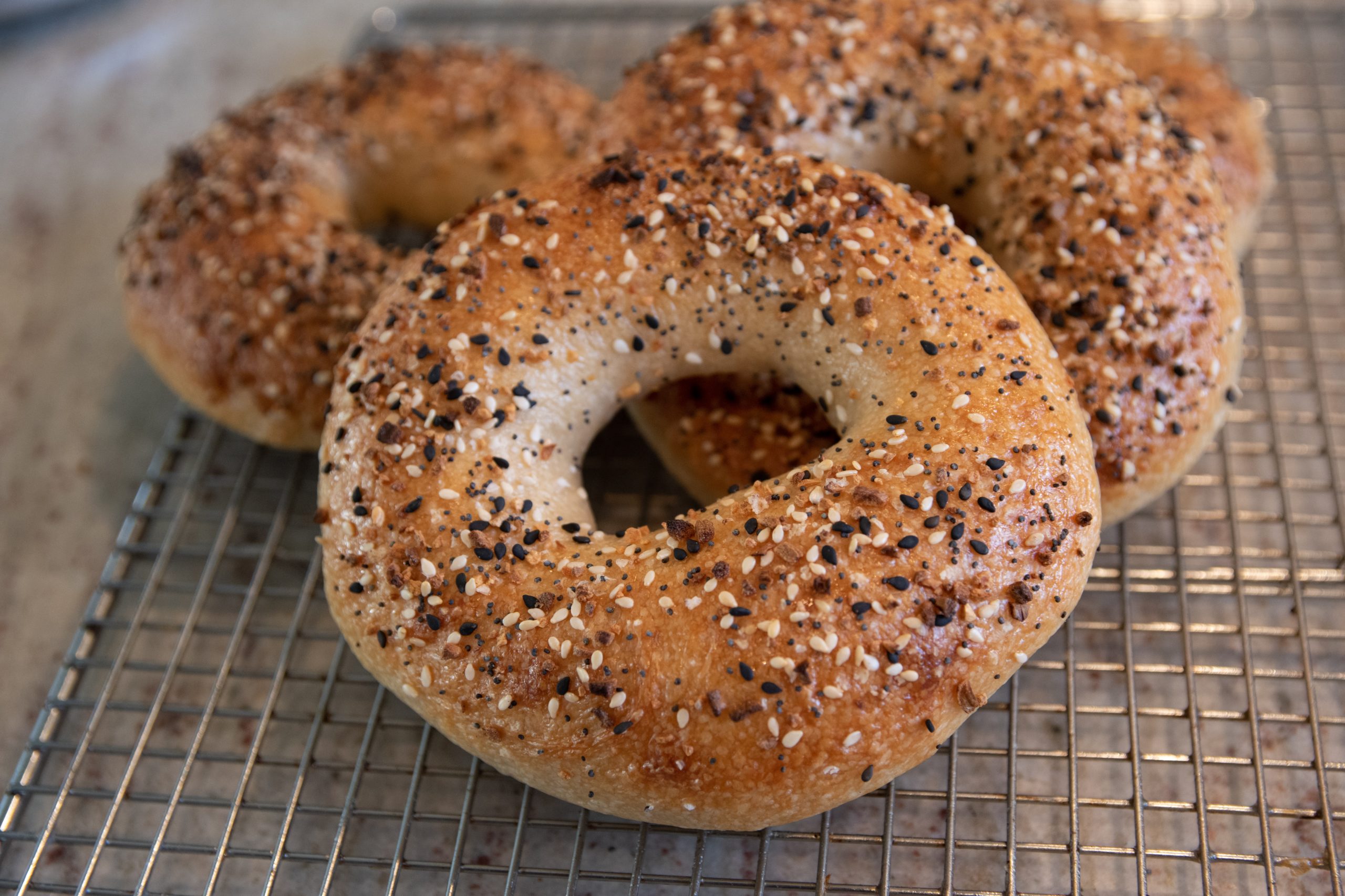 bagel scaled