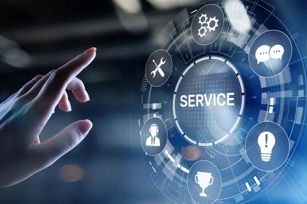 Profesional translation services