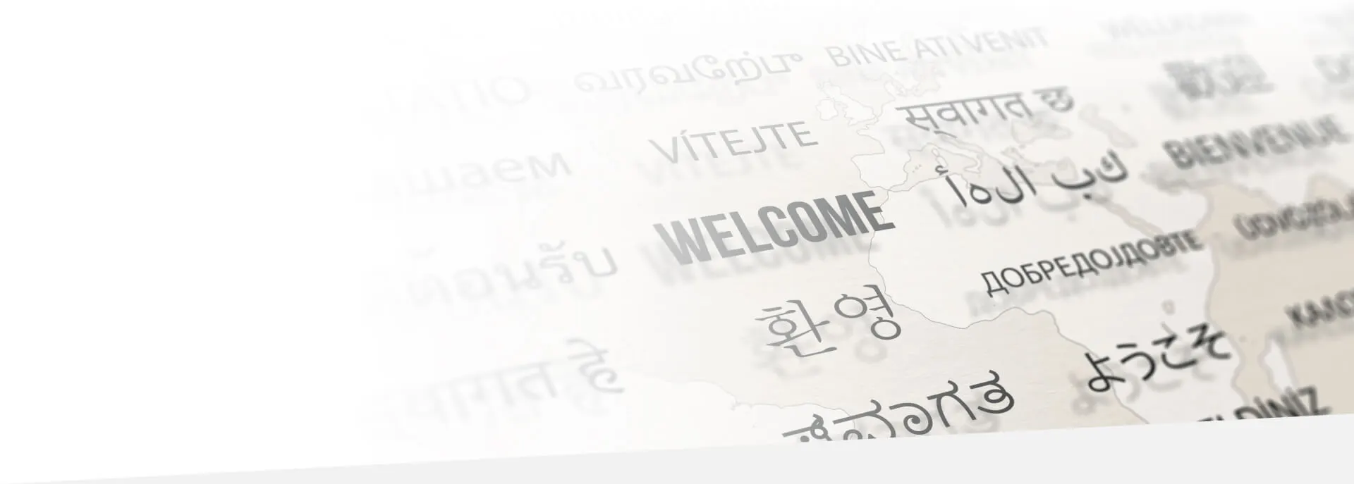 language final 2 1