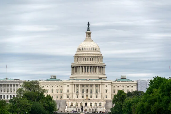 government translation services