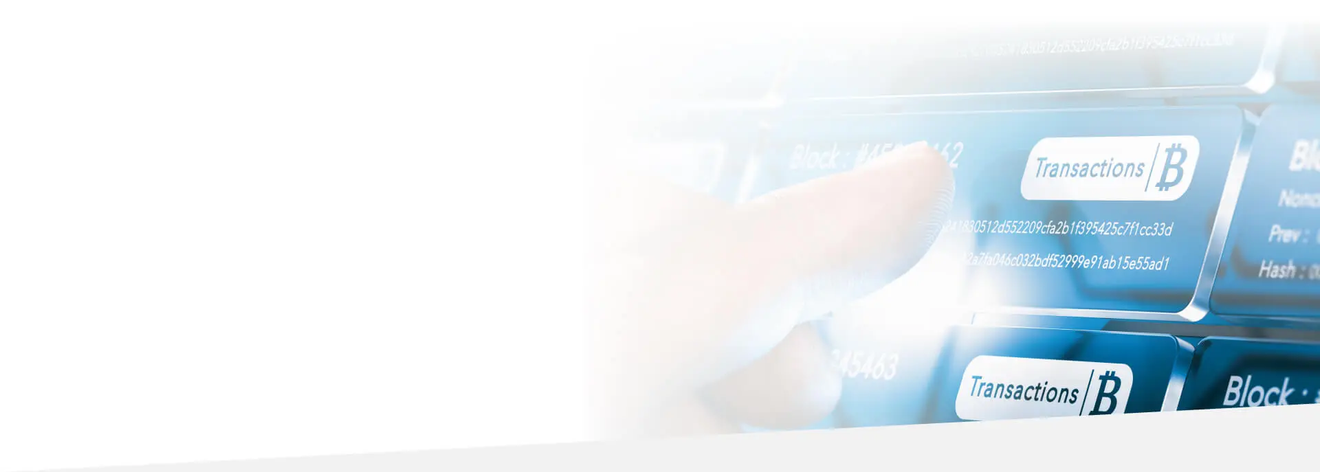 crypto translation services