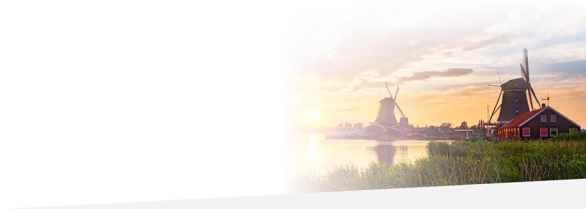 ducth translation services