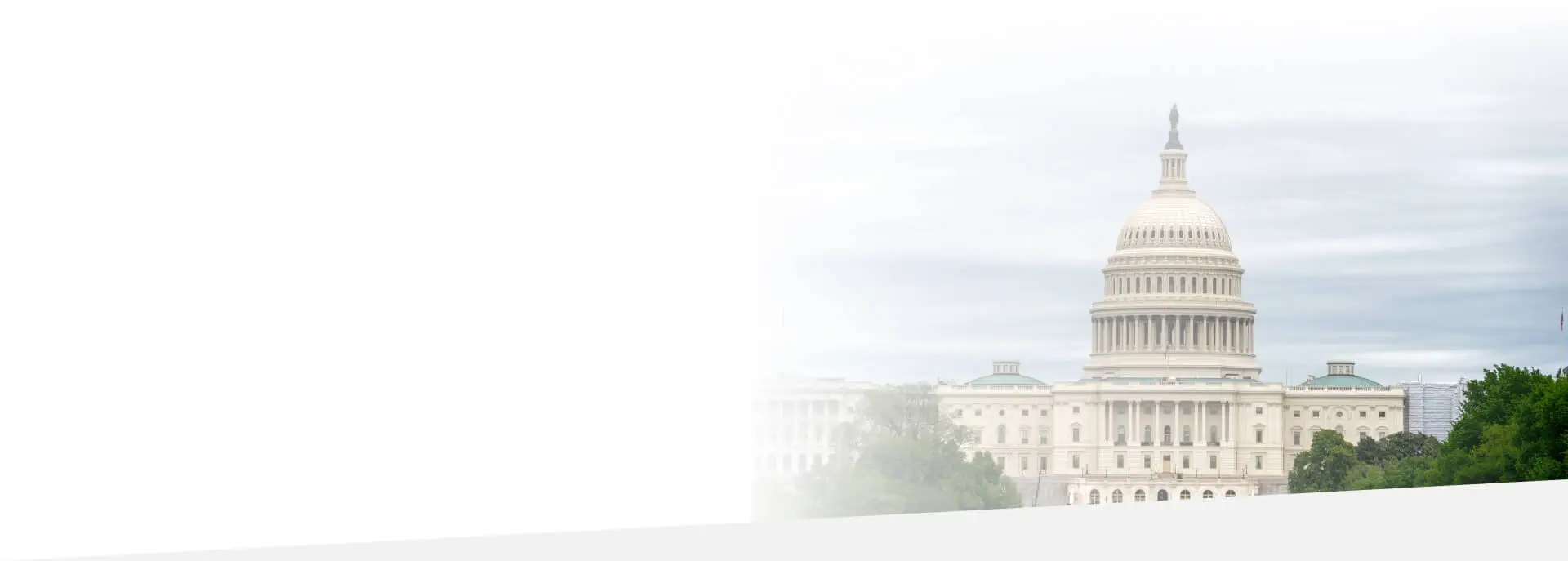 government translation services