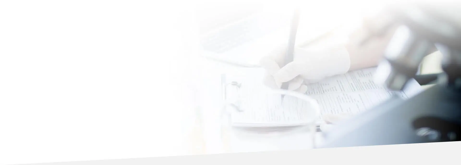 technical translation services