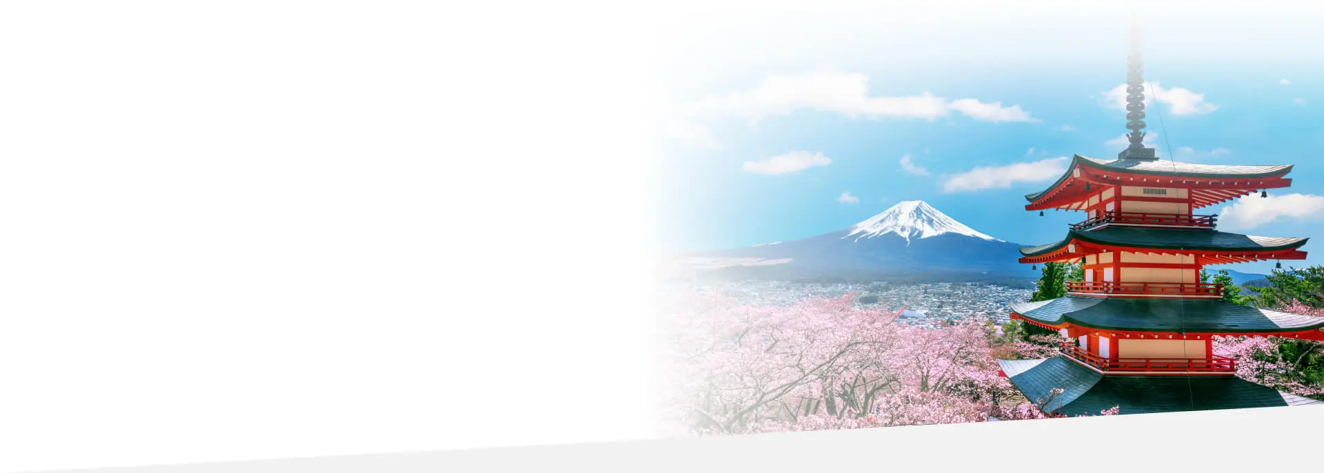 japanese 5