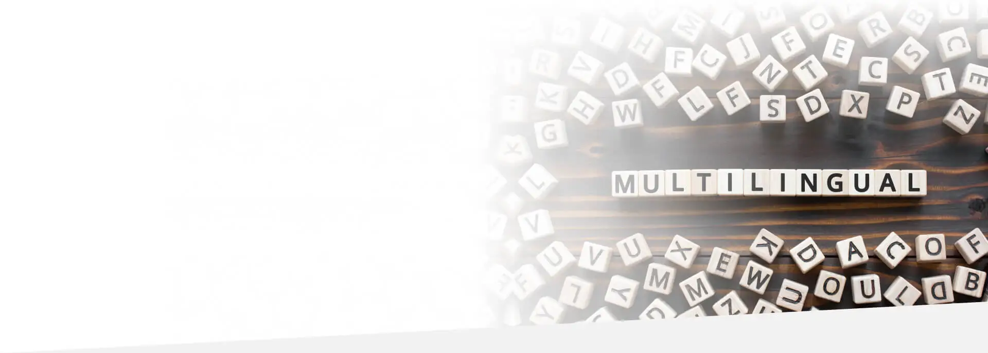multilingual 1