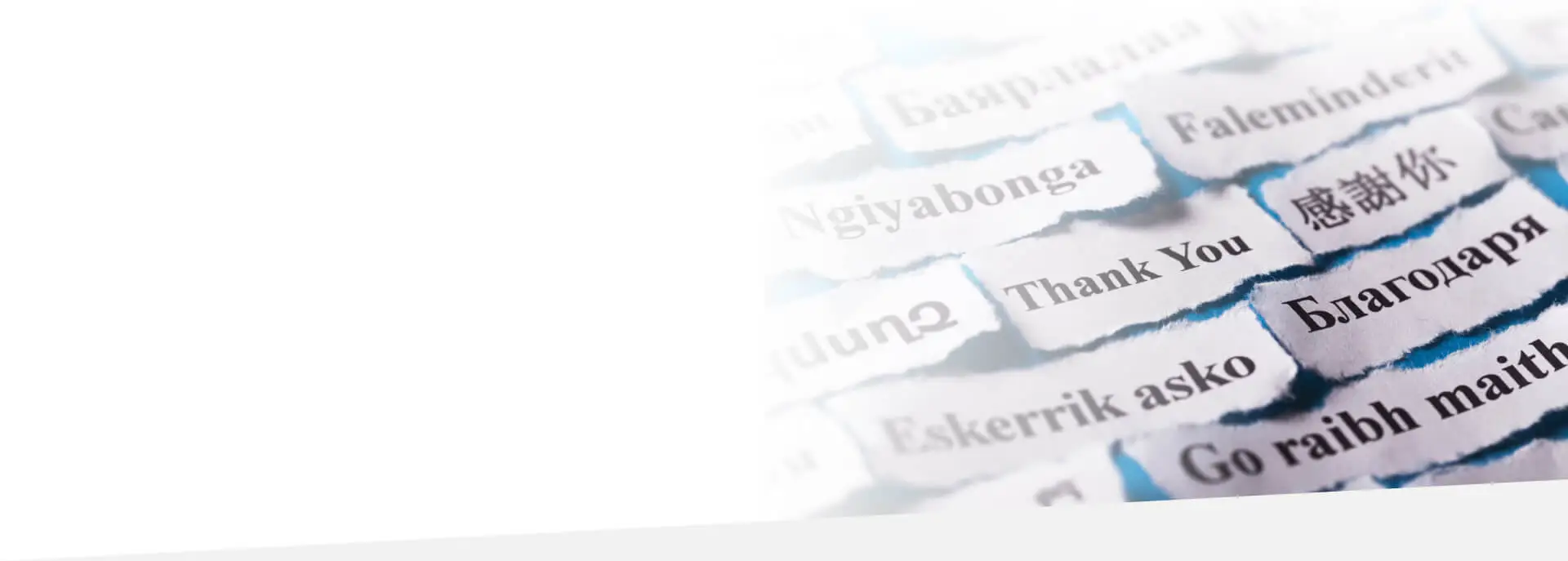 multilingual 4 1