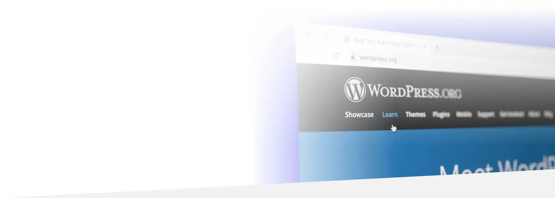 wordpress final 1