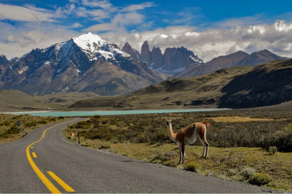 latin american 1res